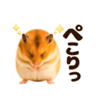 超動く！らぶハムスターズ（個別スタンプ：8）