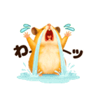 超動く！らぶハムスターズ（個別スタンプ：19）