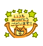 ビタミンカラーの丁寧な猫1（個別スタンプ：22）