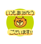 ビタミンカラーの丁寧な猫1（個別スタンプ：37）