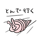 ぴぺいウサギ_シュールに伝える毎日の連絡（個別スタンプ：14）