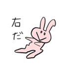 ぴぺいウサギ_シュールに伝える毎日の連絡（個別スタンプ：21）