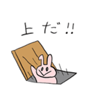 ぴぺいウサギ_シュールに伝える毎日の連絡（個別スタンプ：25）