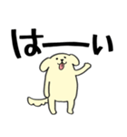わんころ 家族用（個別スタンプ：12）