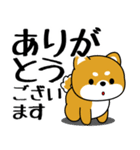 豆柴の飛び出すスタンプ「でか文字」（個別スタンプ：12）