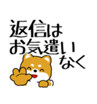 豆柴の飛び出すスタンプ「でか文字」（個別スタンプ：24）