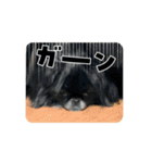 坂口さん家のクマちゃん（個別スタンプ：2）