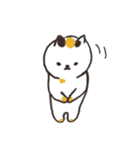 日本猫の日常使いデカ文字スタンプ（個別スタンプ：16）