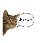 いろんな生き物の横顔スタンプ 76（個別スタンプ：1）
