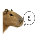 いろんな生き物の横顔スタンプ 76（個別スタンプ：3）