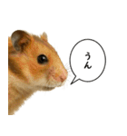 いろんな生き物の横顔スタンプ 76（個別スタンプ：4）