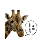 いろんな生き物の横顔スタンプ 76（個別スタンプ：5）
