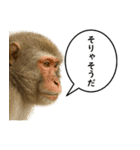 いろんな生き物の横顔スタンプ 76（個別スタンプ：7）