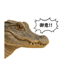 いろんな生き物の横顔スタンプ 76（個別スタンプ：8）
