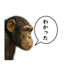 いろんな生き物の横顔スタンプ 76（個別スタンプ：11）
