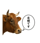 いろんな生き物の横顔スタンプ 76（個別スタンプ：12）