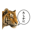 いろんな生き物の横顔スタンプ 76（個別スタンプ：15）