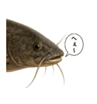 いろんな生き物の横顔スタンプ 76（個別スタンプ：16）