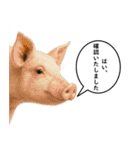 いろんな生き物の横顔スタンプ 76（個別スタンプ：18）