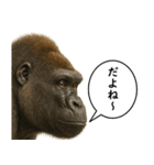 いろんな生き物の横顔スタンプ 76（個別スタンプ：19）