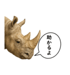 いろんな生き物の横顔スタンプ 76（個別スタンプ：22）