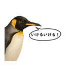 いろんな生き物の横顔スタンプ 76（個別スタンプ：23）