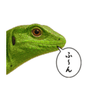 いろんな生き物の横顔スタンプ 76（個別スタンプ：29）