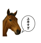 いろんな生き物の横顔スタンプ 76（個別スタンプ：33）