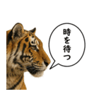 いろんな生き物の横顔スタンプ 76（個別スタンプ：34）