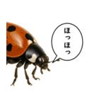 いろんな生き物の横顔スタンプ 76（個別スタンプ：35）
