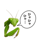 いろんな生き物の横顔スタンプ 76（個別スタンプ：36）