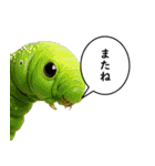 いろんな生き物の横顔スタンプ 76（個別スタンプ：37）