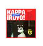 かっぱ研究者研究発表（個別スタンプ：17）