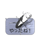 スマホの上のオオクワガタ《メタル1》（個別スタンプ：14）