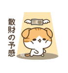 飛び出す！バイトネコくんとハム店長（個別スタンプ：11）