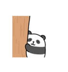 ぽっちゃりパンダぽんどぅ（個別スタンプ：19）