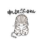敬語も使えるネコちゃん（個別スタンプ：4）