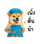 可愛い柴犬のシャワー服（個別スタンプ：1）