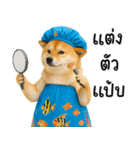 可愛い柴犬のシャワー服（個別スタンプ：3）
