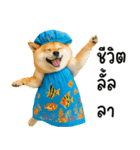 可愛い柴犬のシャワー服（個別スタンプ：6）