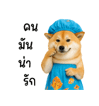 可愛い柴犬のシャワー服（個別スタンプ：10）