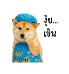 可愛い柴犬のシャワー服（個別スタンプ：11）