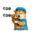 可愛い柴犬のシャワー服（個別スタンプ：13）