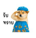 可愛い柴犬のシャワー服（個別スタンプ：14）