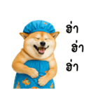 可愛い柴犬のシャワー服（個別スタンプ：18）