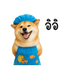 可愛い柴犬のシャワー服（個別スタンプ：21）