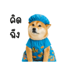 可愛い柴犬のシャワー服（個別スタンプ：22）