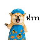 可愛い柴犬のシャワー服（個別スタンプ：24）