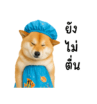 可愛い柴犬のシャワー服（個別スタンプ：26）