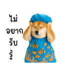 可愛い柴犬のシャワー服（個別スタンプ：28）